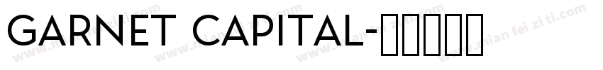 garnet capital字体转换